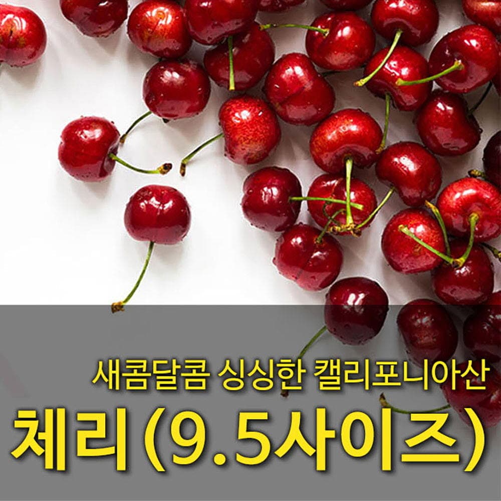 [수입과일] 싱싱한 칠레산 체리 5kg (9.5사이즈)