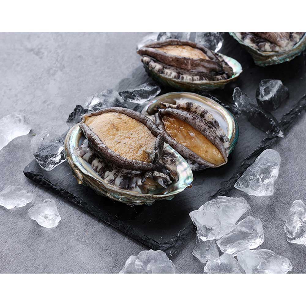 [기품맛담] 완도 프리미엄 활전복 선물세트 1.0kg 8~9미