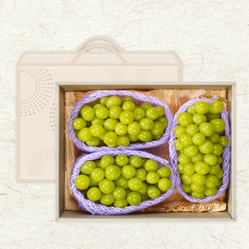 [기품맛담] 샤인머스캣 특선세트 2호 2kg (2-3수)
