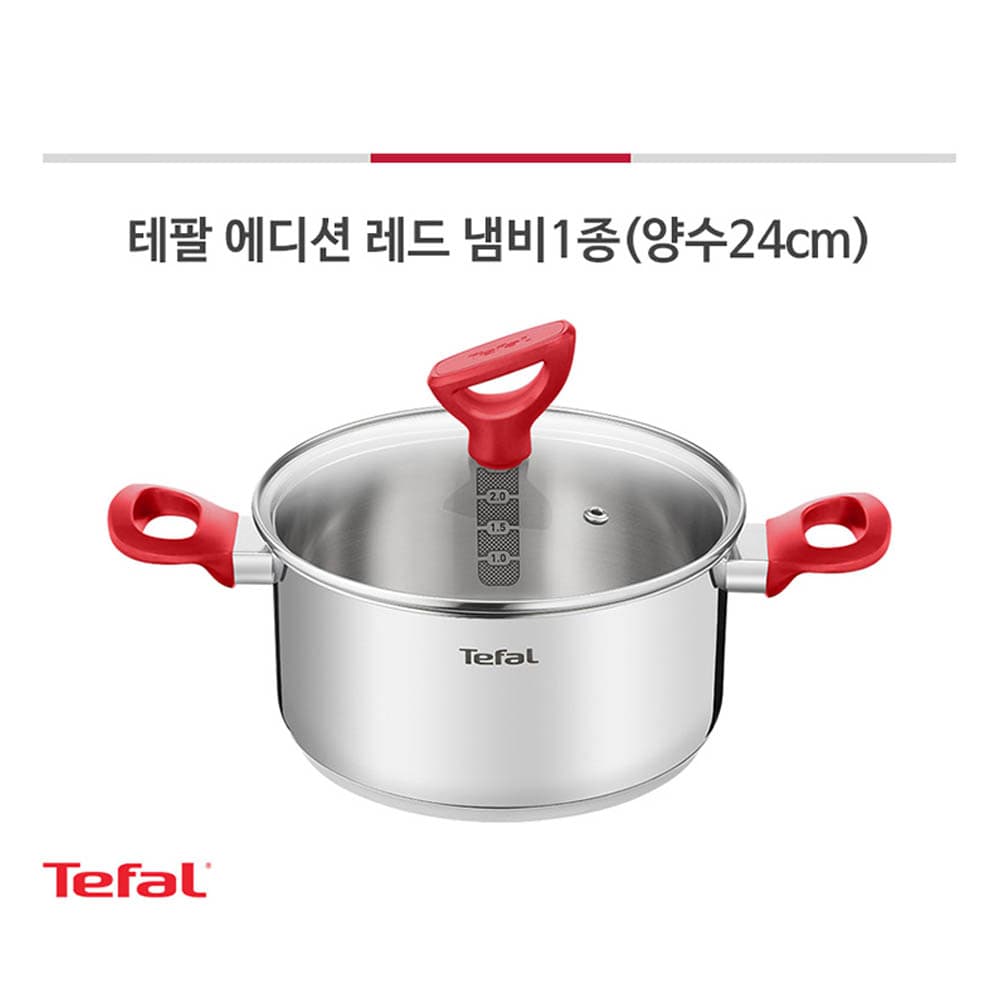 테팔 에디션 레드 인덕션 양수냄비 24cm