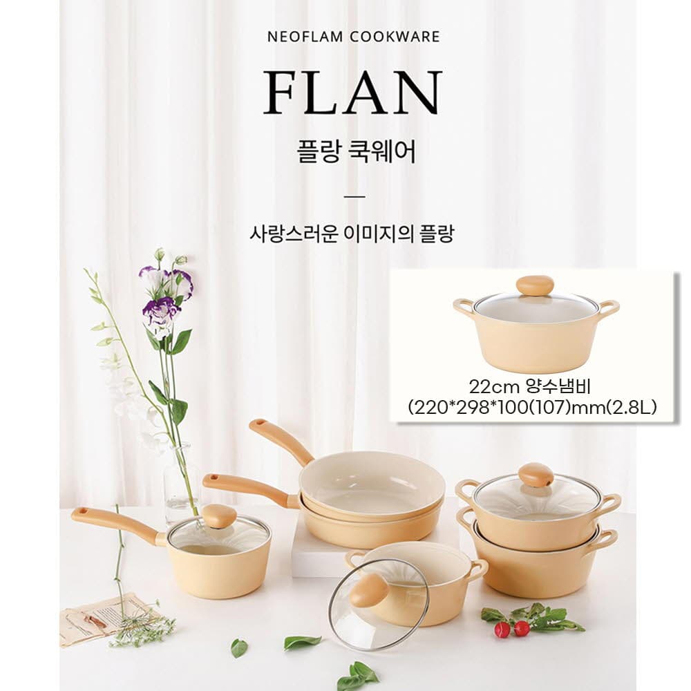 네오플램 플랑 IH 인덕션 냄비 양수 22cm