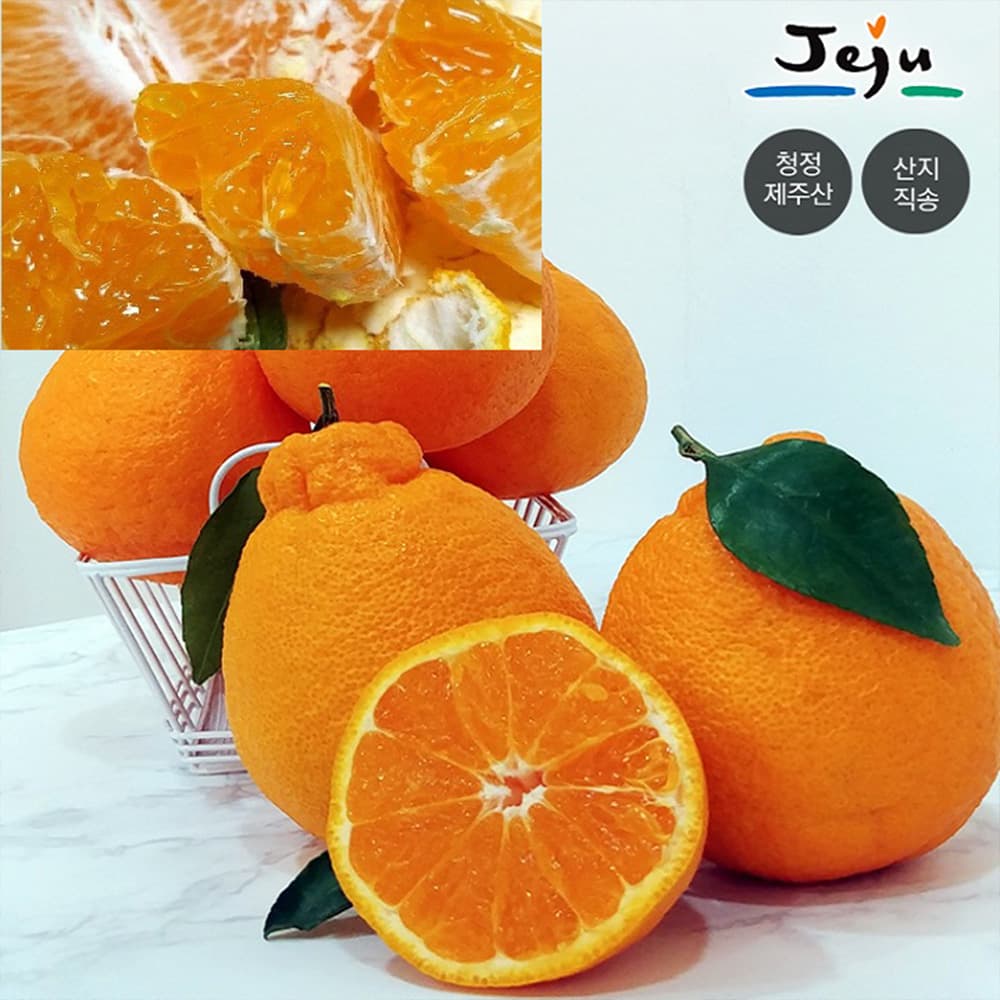 한라봉 5KG (가정용)
