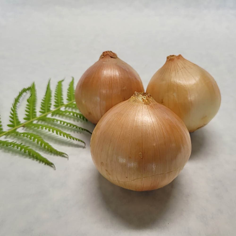 전라도 감자 특 3kg (130~180g 내외)