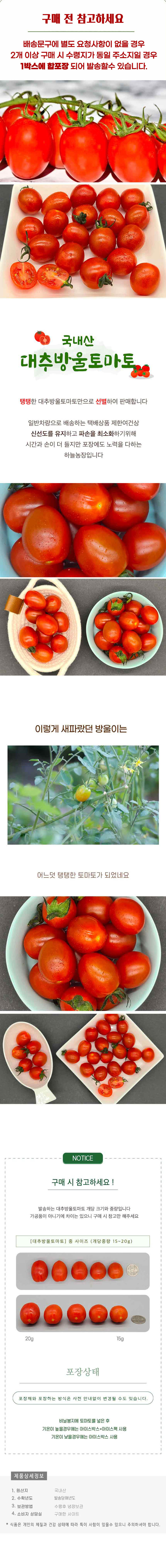 대추방울토마토 3kg(1~2번과) 상세이미지