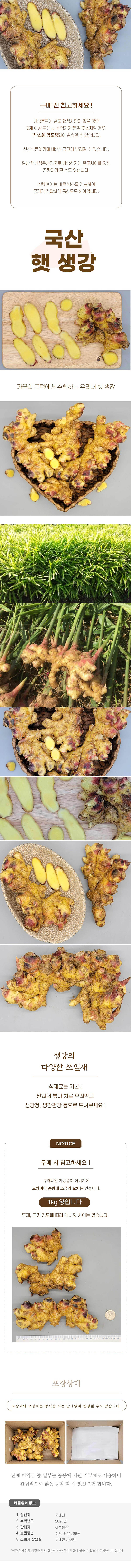 24년산 국산 생강 5kg(특품) 상세이미지
