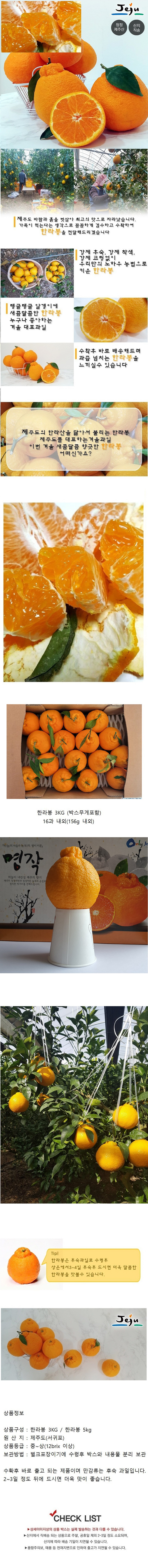한라봉 3KG (가정용) 상세이미지