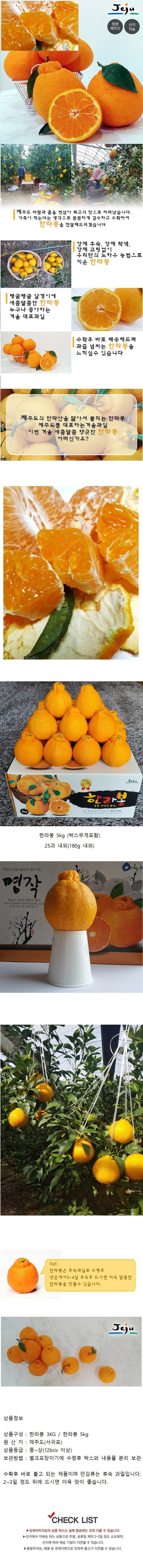 한라봉 5KG (가정용) 상세이미지