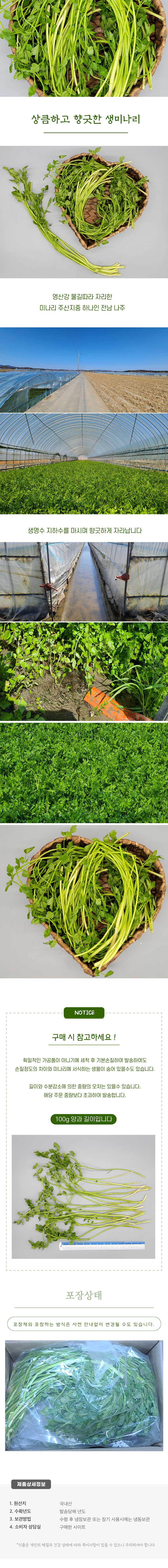 선별발송하는 세척후 손질한 물미나리 1kg(특품) 상세이미지