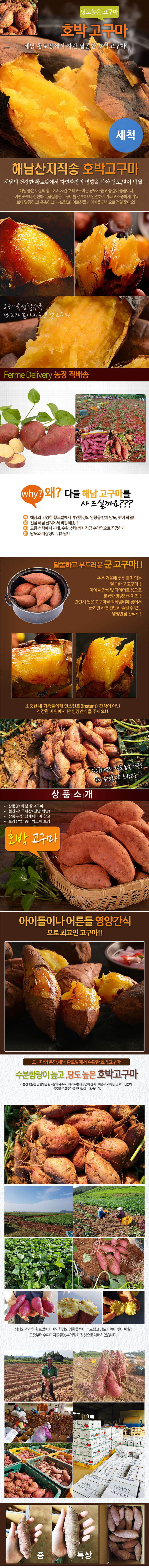 세척 호박고구마 3kg 대(300g 이상) 상세이미지