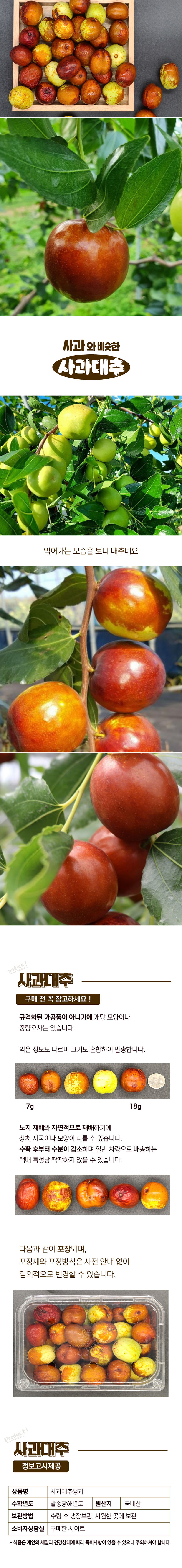 국산 사과대추생과 1kg (왕특~대) 상세이미지