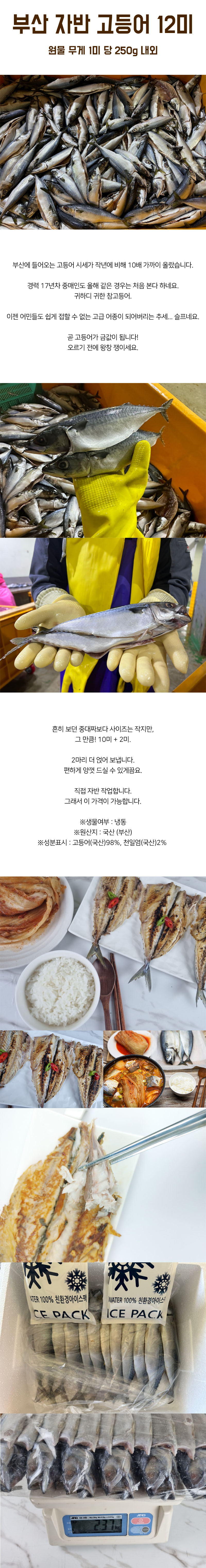 부산 자반 고등어 12미 상세이미지