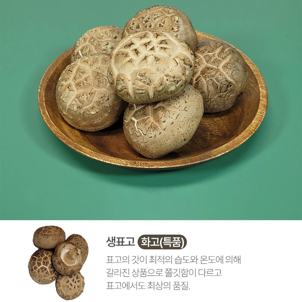 픽뎃 자연의향 쫄깃한 식감을 자랑하는 국내산 생표고버섯 (화고) 2kg 상세이미지