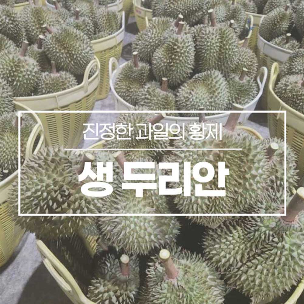진정한 과일의 황제 생두리안 2kg 1-2수 상세이미지