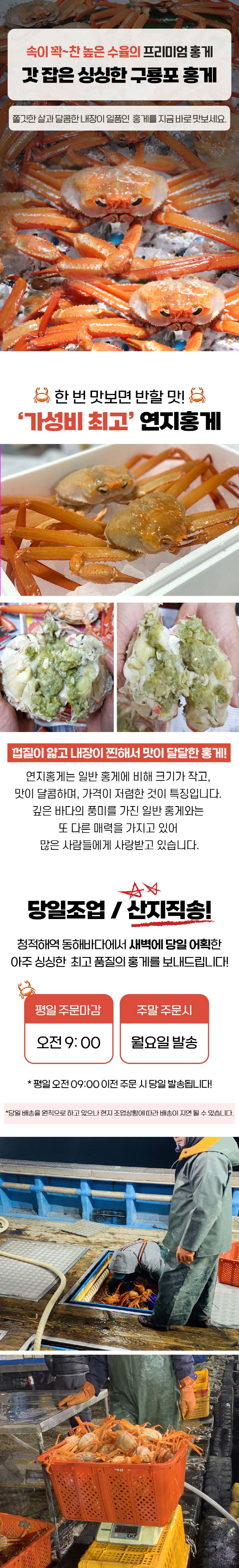 햇땅 연지홍게 자숙 찜 포항 구룡포 정품 2kg 6-9마리 제철 홍게 상세이미지